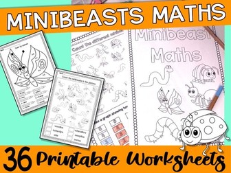 MINIBEASTS MATHS WORKBOOK
