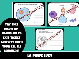 ESL BIOLOGY CELL ORGANELLES STRUCTURE AND FUNCTION