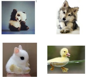 Adaptation & Competition