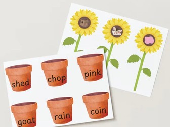 Sunflower read and match game