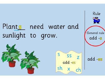 Spelling Rules for Plural Nouns (Year 2)