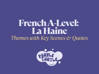 La Haine - Themes Key Scenes and Quotes Summary