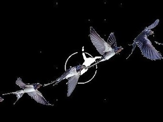 Work & Play by Ted Hughes