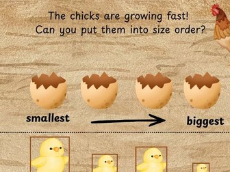 Spring / Easter - Size Ordering