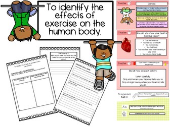 Year 2 To identify the effects of exercise on the human body