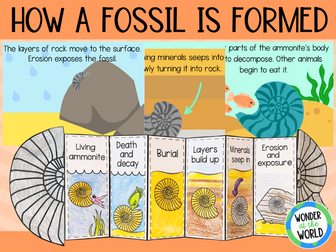 How a fossil is formed sequencing cards and foldable activity KS2