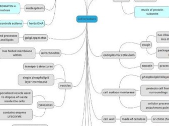 Cell Structure summary mindmaps