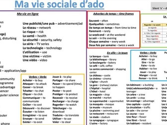 Y9 French knowledge organiser ma vie sociale d'ado