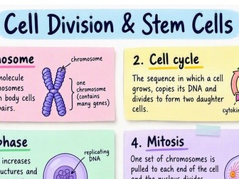 Cell Division & Stem Cells Revision Sticky Notes | GCSE Biology PDF