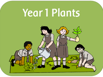 Year 1 Science - Plants topic pack