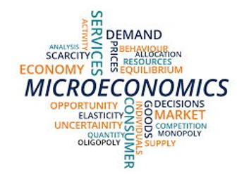 Edexcel Economics Microeconomics notes Year 1 Theme 1