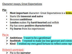 Great expectations essays
