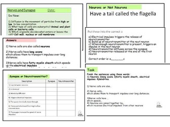 Complete GCSE Lesson: Neurons, Neurotransmitters, and Synaptic Transmission