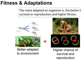 A-Level Biology – Selection and Speciation