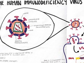 A-level Biology HIV poster