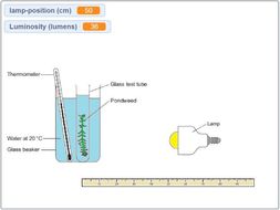 the effect of light intensity on photosynthesis experiment