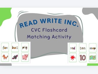 RWI CVC Word Matching Flashcards