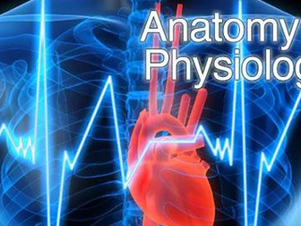 AQA GCSE PE (new spec) Applied Anatomy and Physiology lessons