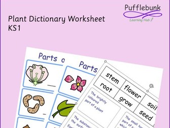 Plant Dictionary Worksheet KS1