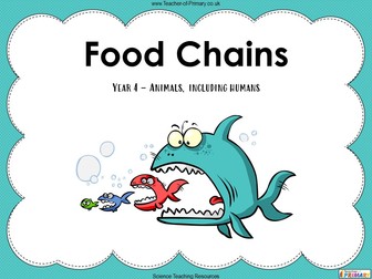 Food Chains - Year 4