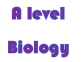 AQA Biology A level Unit 6 Revision Response and control
