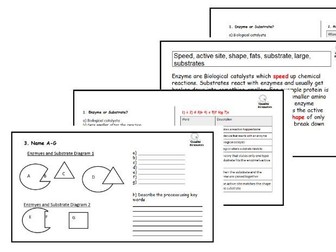 GCSE Enzyme Structure: Essential Worksheets and Activities with Answers