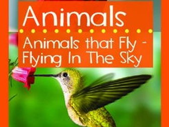 Animals - Animals That Fly (II): Flying In The Sky (II)