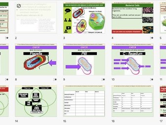 GCSE Biology: Bacterial Cells