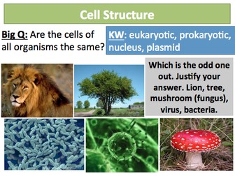 NEW AQA GCSE Cells 1-2 Cell Structure