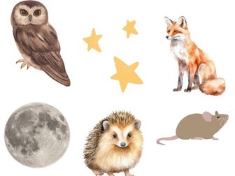 What can you see - nocturnal theme