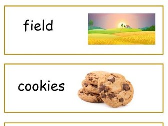 Little Wandle Phonics Flashcards