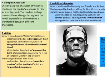 Frankenstein Character Profiles/ Themes