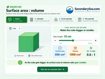 GCSE Biology: Surface Area:Volume- SA:V