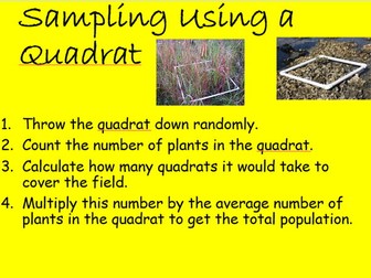 Edexcel SB9 Ecosystems and Quadrats Complete Lesson - GCSE Combined/ GCSE Biology