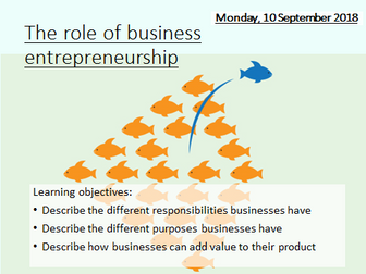 New GCSE Business Edexcel 1-9: (1.1 The role of business entrepreneurship)