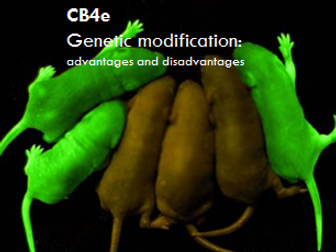 CB4e 9-1 - The advantages and disadvantages of genetic modification