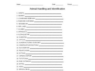 Animal Handling and Identification Word Scramble for Vet. Science Students