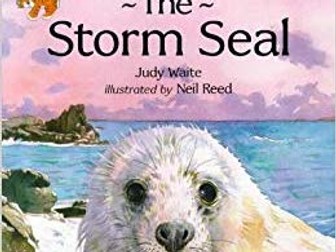 The Storm Seal Guided Reading