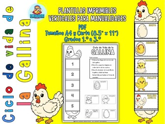 Chicken Life Cycle Foldable Craft in Spanish | Science Worksheet & Sequencing Activity
