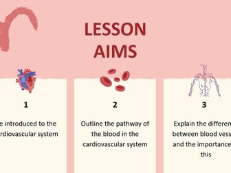 T Level Health - The Cardiovascular System