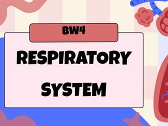 JC The Respiratory System