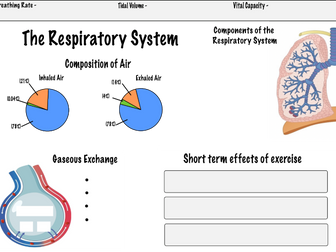 Respiratory System GCSE PE (Edexcel) Revision Sheet