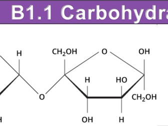 B1.1 Carbohydrate and Lipids STUDENT BOOKLET and TEACHING NOTES