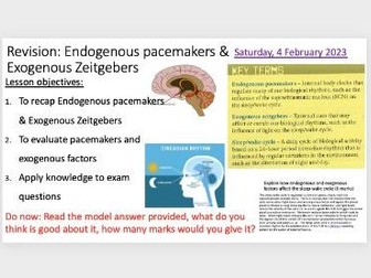 Endogenous Pacemakers  and zeitgebers