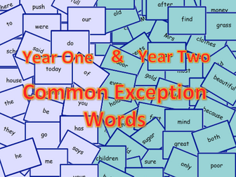 Key Stage 1 Common Exception Words
