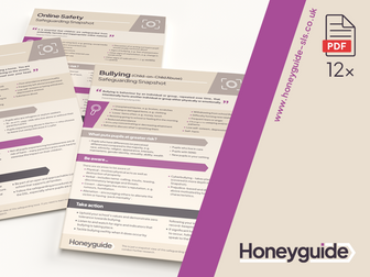 Safeguarding Training Snapshot - Contextual Safeguarding