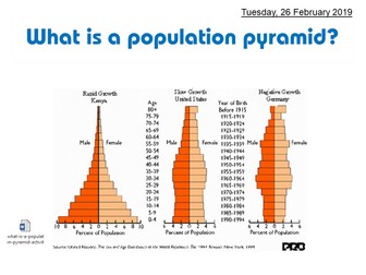 What is a population pyramid
