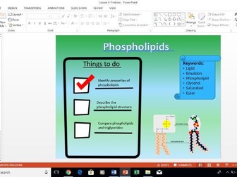 AQA A-Level Biology Phospholipid lesson