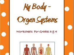 human body organ systems worksheets for grade 3 and 4 teaching