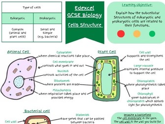 GCSE Biology Cell Structure Revision Pack (Animal, Plant and Bacterial Cells +Questions and Answers)